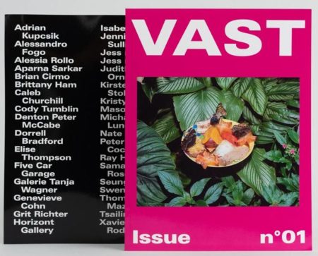 Call for Artists : Print Issue n°02 – VAST Magazine