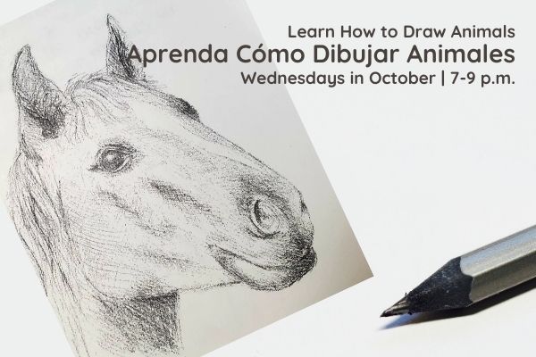 Learn How to Draw Animals/Aprenda Cómo Dibujar Animales – classes in Oct.